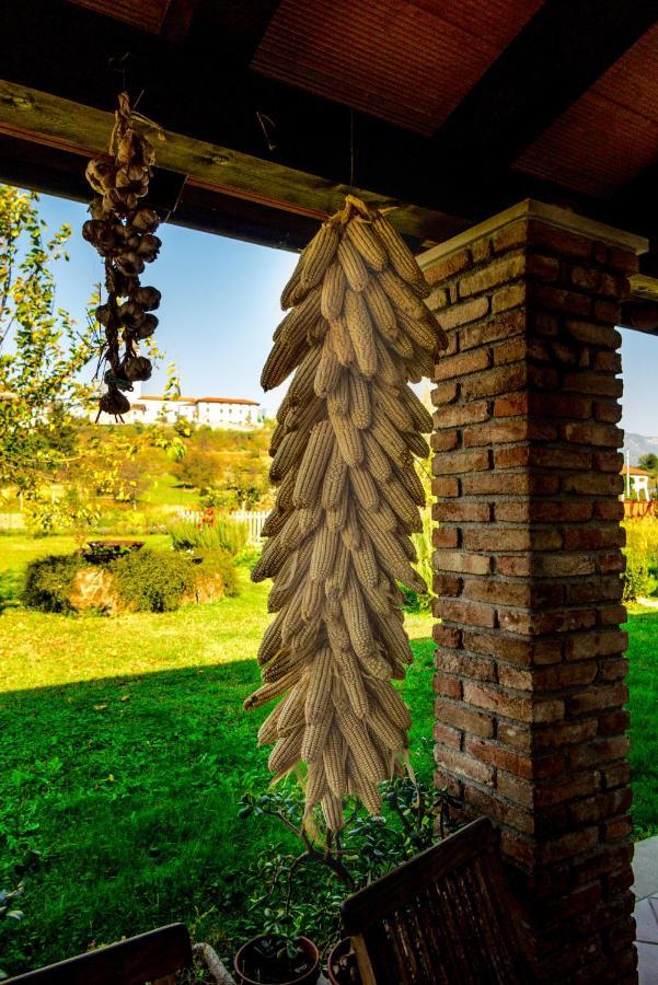 Maxi Sonce, Odprte Vasi Villa Prvacina Exterior photo
